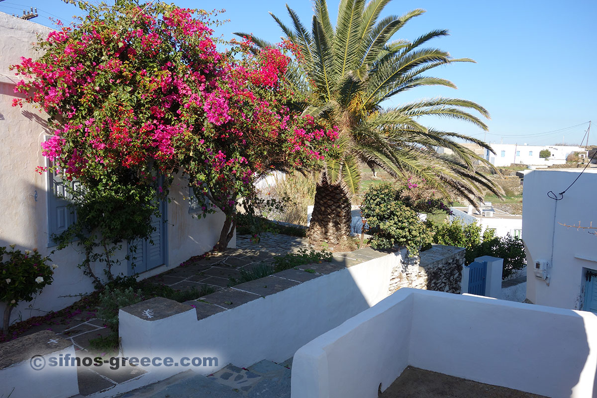 Un giardino nel villaggio di Ai Loukas