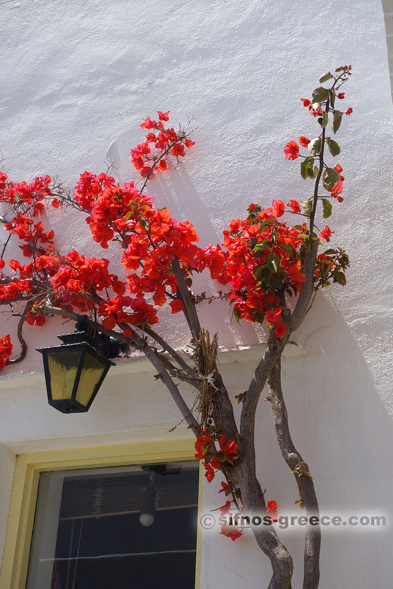 Passeggiando per Artemonas a Sifnos